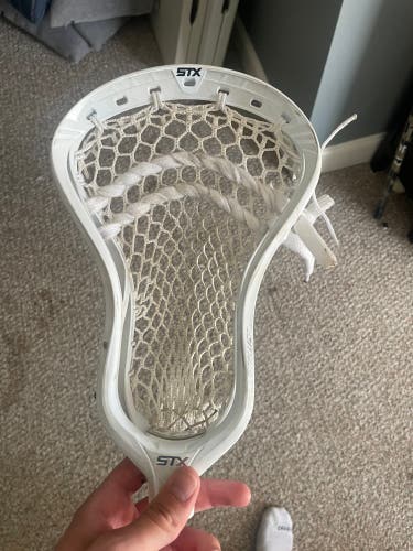 STX Strung Stallion 1K Head (Used)
