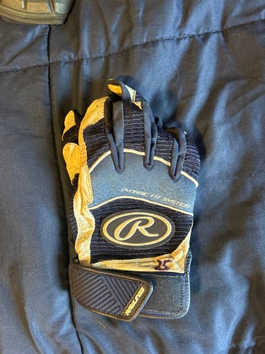 XL Rawlings Batting Gloves (Used)