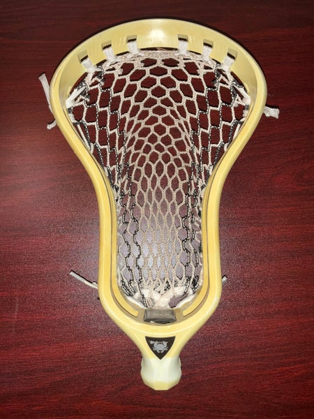 ECD Strung DNA Head (Used)