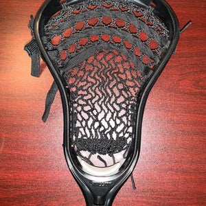 STX Strung Stallion U 550 Head (Used)