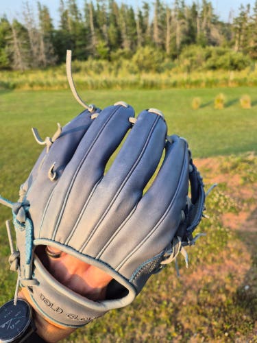 2025 Bold Gloves Brand Dip Dyed Baseball Glove