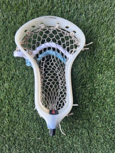 Warrior Strung Burn FO Head (Used)