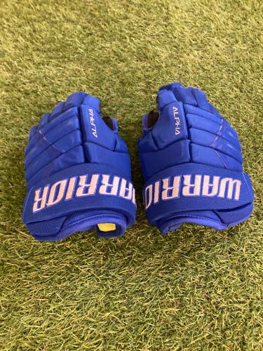 Blue Junior Warrior Alpha DX3 Gloves 10" (Used)