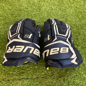 Blue Senior Bauer Supreme 1S Gloves 14" (Used)