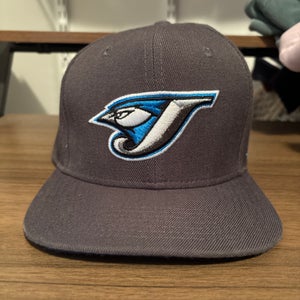 Toronto Blue jays hat