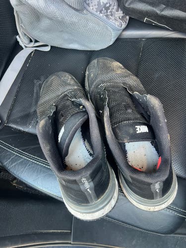 Men's Adult Size M 11.0 (W 12.0) Nike Shoes (Used)