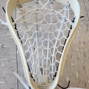 Brine Strung Oz Head (Used)