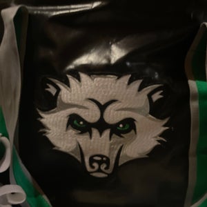 CCM Bag (Used)