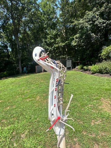 Gait Whip Stick (Used)