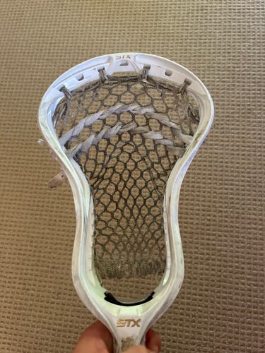 STX Strung Stallion 900 Head (Used)