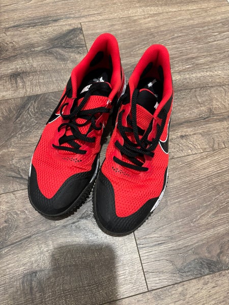 Red Men's Adult Size M 10.5 (W 11.5) Nike Shoes (Used)