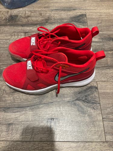 Men's Adult Size M 11.0 (W 12.0) Nike Shoes (Used)