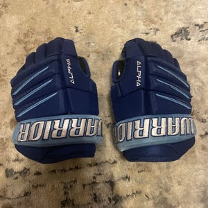 Warrior Alpha QX3 Gloves 10"  (Used)