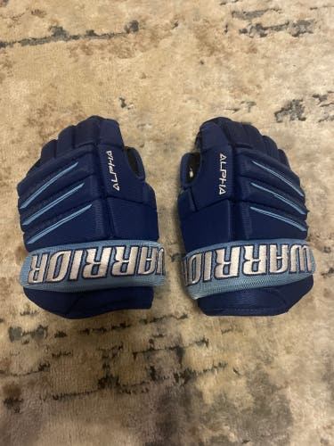Warrior Alpha QX3 Gloves 10"  (Used)