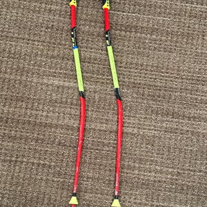 Leki GS Ski Poles 100cm (Used)