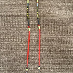 Leki GS Ski Poles 110cm (Used)