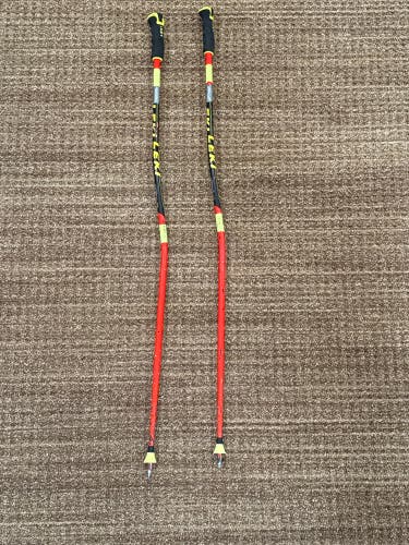 Leki GS Ski Poles 110cm (Used)
