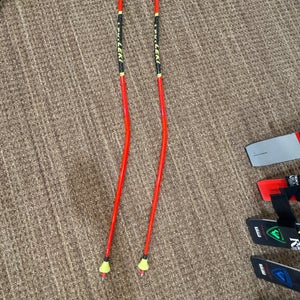 Leki GS/SG Ski Poles 130cm (Used)