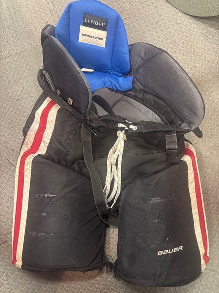 Large Senior Bauer Nexus Hockey Pants (Used)