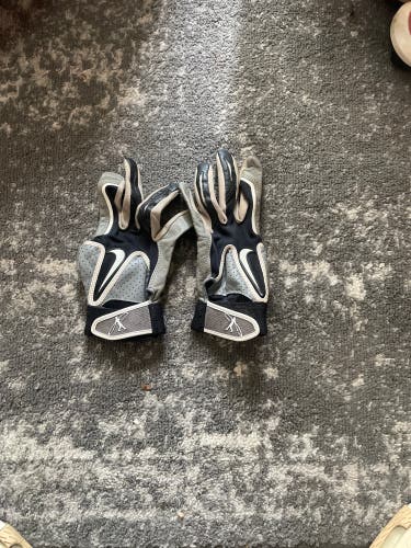 Large Nike Batting Gloves (Used)