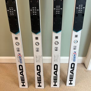 Women's 2023 Racing 188 cm HEAD World Cup Rebels e-GS RD Skis Without Bindings (Used)