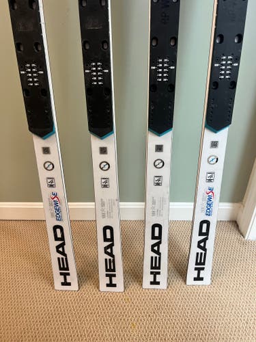 Women's 2023 Racing 188 cm HEAD World Cup Rebels e-GS RD Skis Without Bindings (Used)