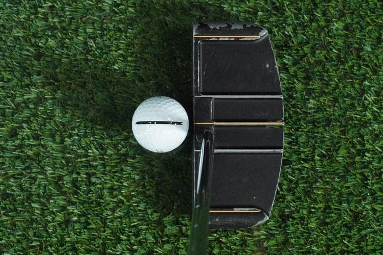 ROGER EVANS STAND-UP MALLET PUTTER 35 STEEL SHAFT LAMKIN GRIP RH ~ L@@K!!