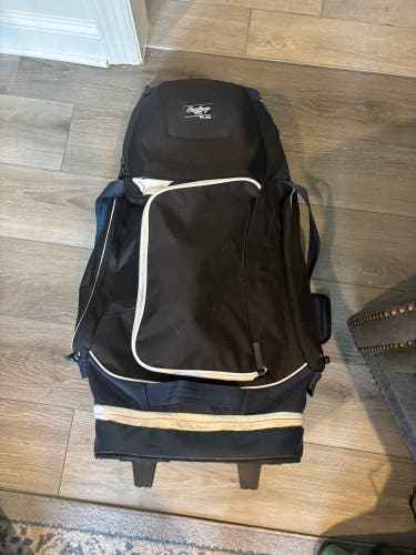 Rawlings Catcher's Bag (Used)