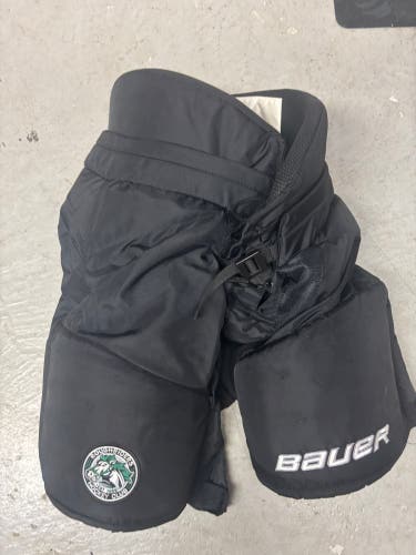 Large Senior Bauer Hockey Pants (Used)