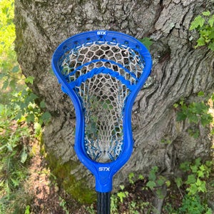 STX Strung Stallion 1K Head (Used)