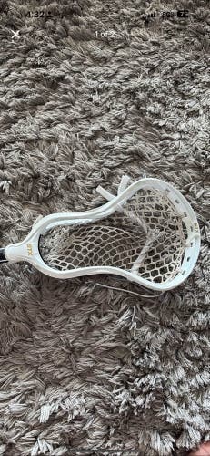 STX Strung Stallion 900 Head (New)