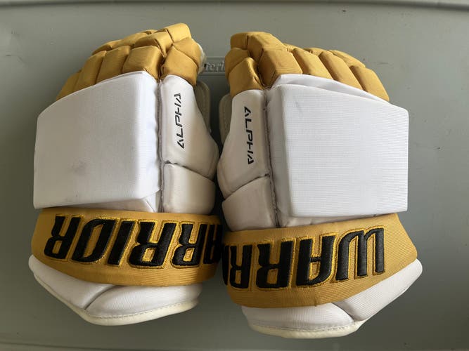 Warrior Gloves 13" (Used)