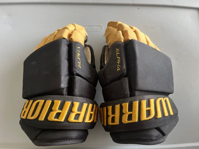 Warrior Gloves 13" (Used)