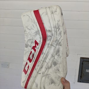 CCM premier pro blocker