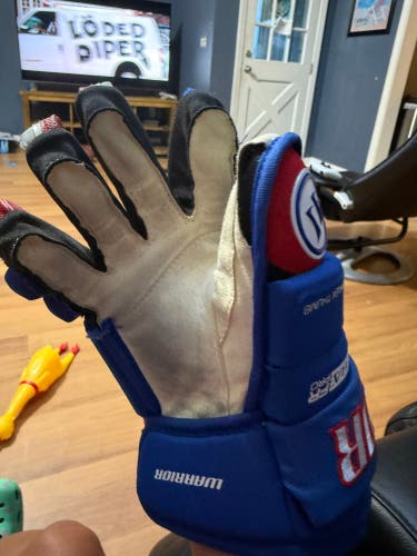 Warrior Gloves 12" (Used)
