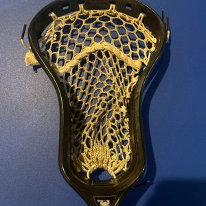 ECD Strung DNA Head (Used)