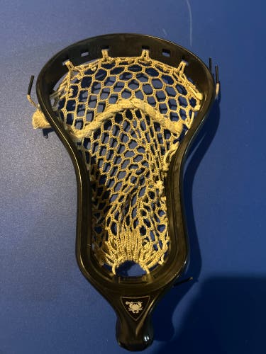 ECD Strung DNA Head (Used)