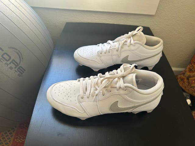 Jordan 1 Low TD Men's 11.5 (Like New)