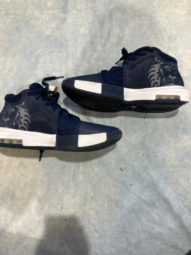Nike lebron witness 7 Shoes Size 9.5 Like New