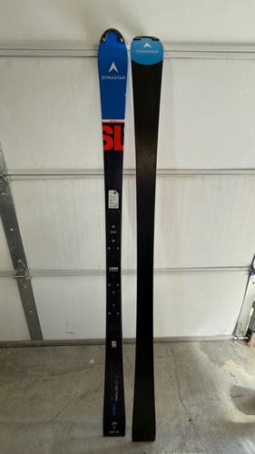 Racing 165 cm Dynastar Speed WC FIS SL Skis Without Bindings (Used)