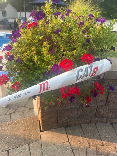2019 Marucci CAT8 Alloy BBCOR Certified Bat (-3)  28 oz 31" (Used)