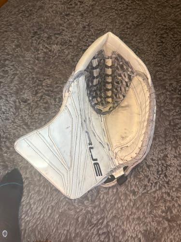 2021 True L12.2 Regular (Used) 580