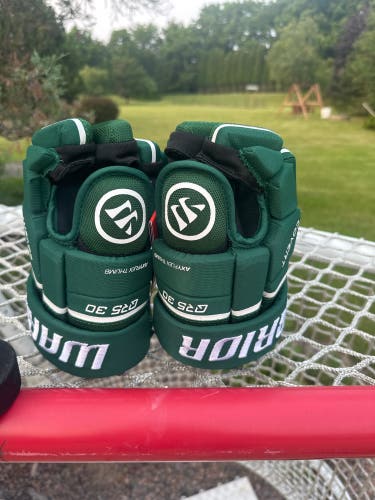 NEW Warrior QR5 30 Gloves, Green, 12”