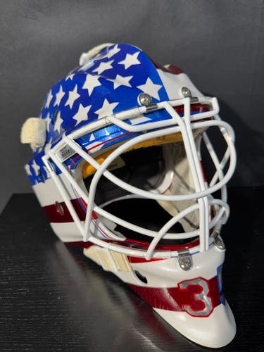 Custom Air-brushed Senior 2024 Bauer Senior Large 960 Goalie Mask (Used)