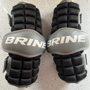 Brine Clutch Arm Pads (Used)
