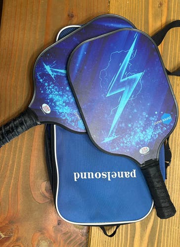 Panel Sound Pickleball Paddle (Used)