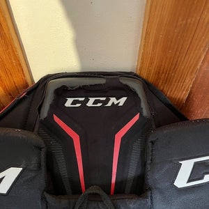 Senior Large CCM CCM Pro Hockey Goalie Pants (Used)