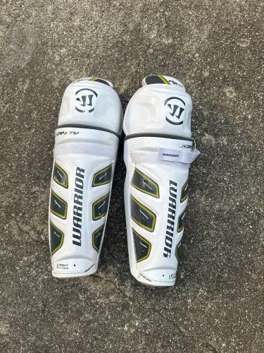 Warrior Dynasty Shin Pads INT 14
