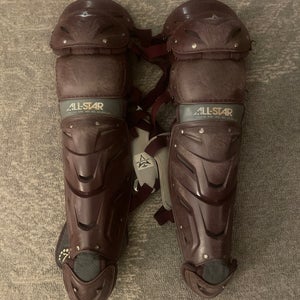 Maroon All Star Catcher's Set (Used)