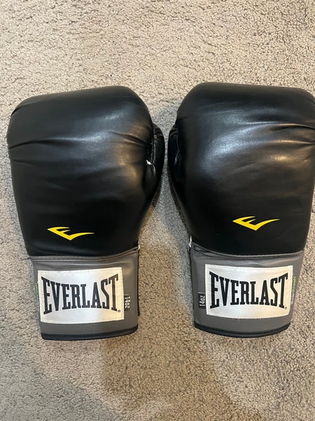 Everlast (Used) Sparring Gloves